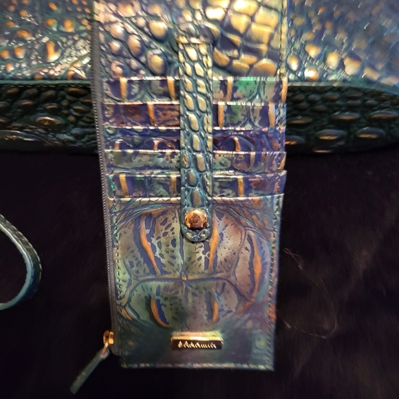 Brahmin dragon crossbody - Picture 5 of 8